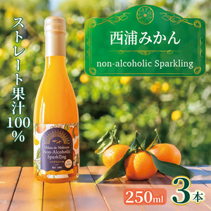 西浦 みかん スパークリング ジュース ストレート 果汁 100% 250ml×3本 蜜柑 贈答用 静岡 沼津