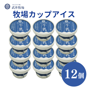 カップアイス 12個 うちだけの味 武井牧場 自家製 アイス 牧場 牛乳 アイスクリーム お土産 プレゼント ギフト 贈答 お取り寄せ スイーツ お菓子 デザート 静岡県 沼津市 ( カップアイス アイスクリｰム 手作りアイス 自家製 武井 静岡 沼津市 お取り寄せ 贈答 デザｰトアイス スイｰツアイス 人気 お土産 おすすめ )