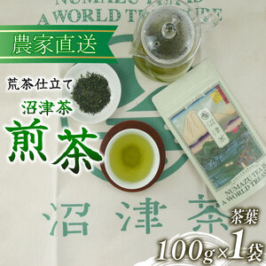 煎茶 100g 1袋 普通 緑茶 2024年産 農家直送 お茶 茶葉 静岡 沼津