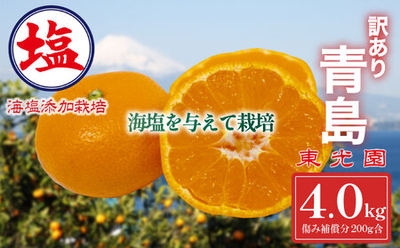 C^č͔| ݂ \t 12{  󂠂  ݂ v 4kg ݕ⏞ 200g ܂  k Y ݂ IW ʕ t[c Îs É