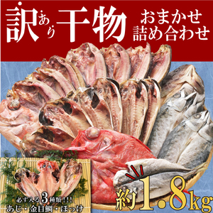 [2024年9月発送]干物訳あり 干物 ひもの 約1.8kg おまかせ 詰め合わせ セット 本場沼津 規格外 不揃い