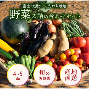 お野菜 4〜5品 詰め合わせセット 富士山の湧水でつくる 四季の美味しい 旬 野菜