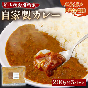 自家製 カレー 200g×5パック 1kg 黒毛和牛 牛肉 国産豚 個包装 湯煎可 温めるだけ 簡単 レンジ 牛山精肉店 特製 手作り セット 沼津 静岡