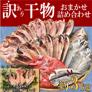 [2025年05月発送] 干物 訳あり 干物 ひもの 約3kg おまかせ 詰め合わせ 干物 セット 沼津 干物 規格外 干物 不揃い