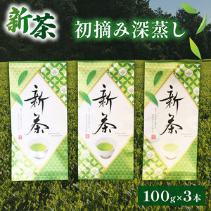新茶 100g × 3本セット 化粧箱 入り 初摘み 深蒸し 煎茶 緑茶 お茶 ギフト 贈答 茶葉 常温 保存 便利 お試し 静岡 沼津 母の日 父の日