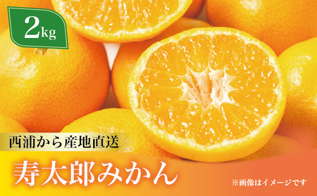 寿太郎 みかん 約2kg フルーツ 柑橘 オレンジ 果物 数量限定 国産 蜜柑