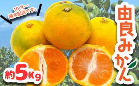 Rǂ݂ 5kg t[c k IW ʕ ʌ Y 