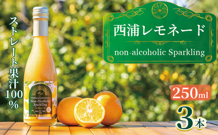 西浦 レモネード スパークリング ジュース ストレート 果汁 100% 250ml×3本 希少 柑橘 静岡 沼津