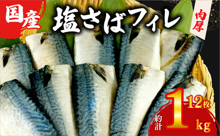 塩サバ フィレ 国産 約1kg 12枚 小分け 個包装 鯖 サバ 沼津市 サバ サバ サバ サバ サバ サバ