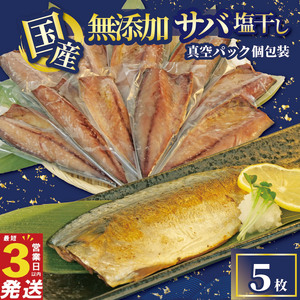さば 干物 5枚 国産 無添加 サバ 塩干し 真空パック 個包装 簡単調理 スピード発送 鯖 ギフト 静岡 沼津