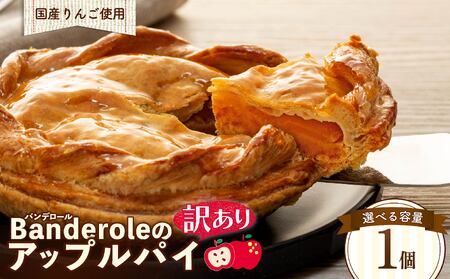 アップルパイ 訳あり 国産りんご アップルパイ スイーツ
