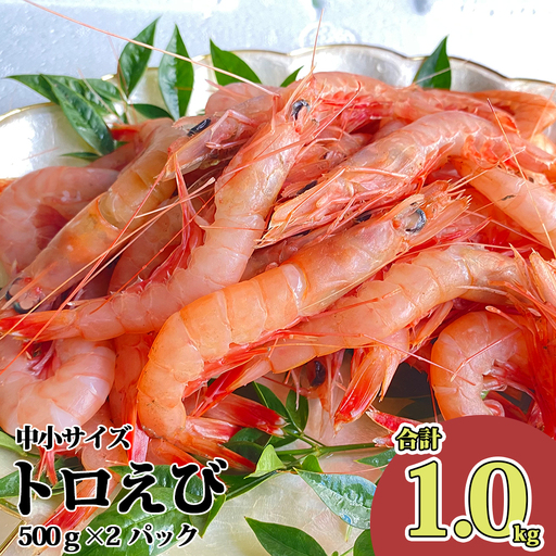 トロ えび 中 小 サイズ 1.0kg 500g 2パック えび