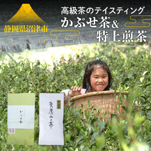 高級茶のテイスティング