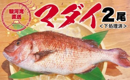 鯛 塩焼き 検索結果 ふるさと納税サイト ふるなび