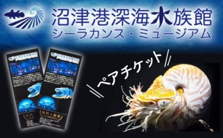 沼津港深海水族館 ペア チケット 大人2名 水族館 沼津港 贈答 ギフト 旅行 静岡県 沼津市