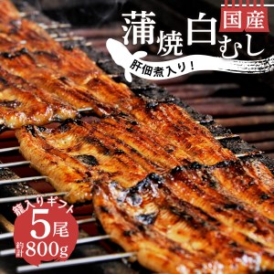 国産 うなぎ 蒲焼 鰻 4尾 白むし 1尾 計800g カット 肝 佃煮 1袋 プレミアム ギフト 籠入り セット 贈答用 真空 小分け 丑の日 沼津 うなよし (ウナギ ウナギ ウナギウナギ ウナギ)