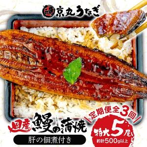 [ 定期便 3ヶ月 連続 ] 国産 鰻 うなぎ 5尾 肝 佃煮 ギフト セット 蒲焼 うな丼 うな重 ひつまぶし 土用 丑の日 ( ウナギ ウナギウナギ ウナギ)