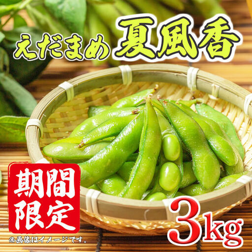 訳あり 枝豆 3kg 先行予約 枝豆