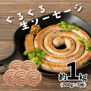 生 ソーセージ 冷凍 豚肉 計 1kg 小分け 200g 5袋 バーベキュー ( 豚肉 ソｰセｰジ ソｰセｰジ )