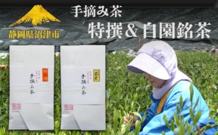 [価格改定予定]茶葉 お茶 緑茶 手積み 新茶 特選 自園銘茶 100g 2袋 静岡県産 自然栽培