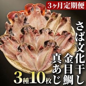 [定期便 全3回]干物 3種10枚セット 沼津 干物