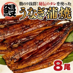 うなぎ 蒲焼 8尾 鰻 静岡県 沼津 指定日可 人気 うなぎ うなぎ うなぎ うなぎ