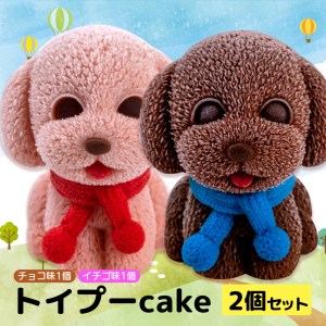 ケーキ トイプードル Cake 2個 セット スイーツ 立体ケーキ チョコ いちご かわいい 贈答用