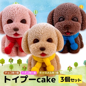 ケーキ トイプードル Cake 3個 セット スイーツ 立体ケーキ チョコ いちご キャラメル かわいい 贈答用