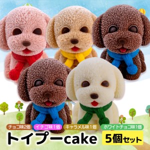 ケーキ トイプードル Cake 5個 セット スイーツ 立体ケーキ チョコ いちご キャラメル ホワイトチョコ かわいい 贈答用