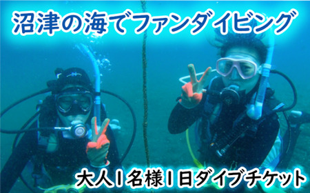ファン ダイビング チケット 大人 1名 1日 2ビーチ 沼津 伊豆 半島 アクティビティ 遊び マリンスポーツ マリンアクティビティ スキューバ ダイビング 海 大瀬崎 平沢 獅子浜 井田
