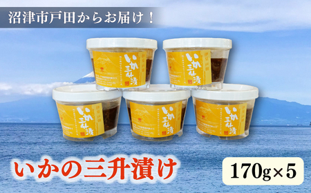 いかの三升漬 5本セット