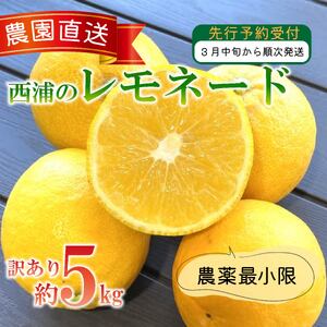 [予約受付] 訳あり 西浦 レモネード 3kg 西浦 蜜柑 柑橘 オレンジ 減農薬 木負観光みかん園