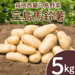 三島馬鈴薯 5kg JAふじ伊豆 じゃがいも 馬鈴薯 三島 いも 野菜 芋 農作物 ポテト コロッケ 肉 じゃが [化粧箱入り]