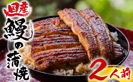 【2026年4月～順次発送】 うなぎ蒲焼 ウナギ 鰻 うな重 土用の丑の日 贈答用 ギフト お取り寄せグルメ 老舗 名店 蒲焼き 国産うなぎ 美味しい おいしい 真空パック 2人前 桜家 三島 静岡県