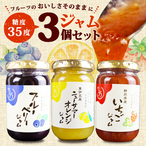 [糖度35度]ジャム3種セット 3種各1個 ブルーベリー イチゴ ニューサマー オレンジ フルーツ 贈答用 プレゼント 果実