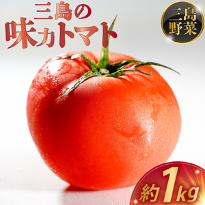 [予約受付中]三島の味力トマト 1kg トマト 完熟 高糖度 野菜 数量限定 フルーツ トマト とまと 贈答用 1万円以下