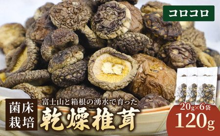 乾燥しいたけコロコロ 約120g 椎茸 しいたけ シイタケ きのこ 乾燥しいたけ 乾燥シイタケ 乾燥椎茸 野菜 菌床栽培 肉厚 キノコ 出汁 煮物 味噌汁 国産 農薬不使用 食物繊維 富士山 湧水 箱根 静岡県 三島市