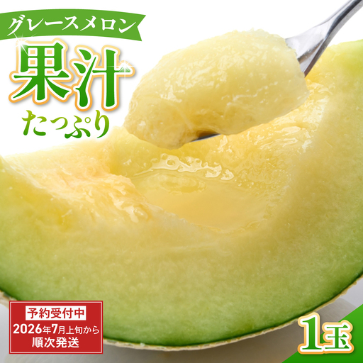 グレースメロン 1玉 フルーツ 果物 贈答用 メロン