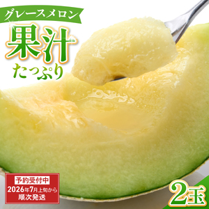グレースメロン 2玉 メロン フルーツ 果物