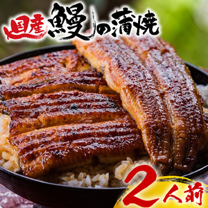 [2026年3月〜順次発送] うなぎ蒲焼 ウナギ 鰻 うな重 土用の丑の日 贈答用 ギフト お取り寄せグルメ 老舗 名店 蒲焼き 国産うなぎ 美味しい おいしい 真空パック 2人前 桜家 三島 静岡県