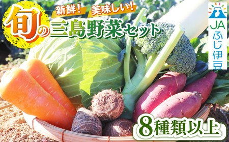 [2026年10月発送 秋冬野菜]三島野菜詰め合わせセット 8種類以上 JAふじ伊豆 ファーマーズマーケット みしまるかん お取り寄せ グルメ 野菜 旬の詰め合わせ 三島市 静岡県