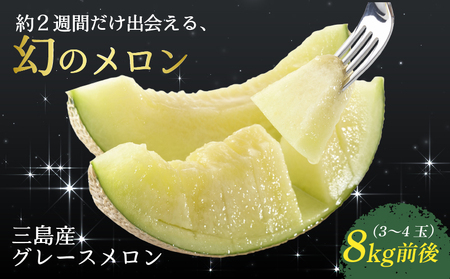 【予約受付中】 グレースメロン 約8kg 3～4玉 JAふじ伊豆 ファーマーズマーケット みしまるかん お取り寄せ グルメ フルーツ メロン 三島市 静岡県