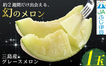 [予約受付中] グレースメロン 1玉 JAふじ伊豆 ファーマーズマーケット みしまるかん お取り寄せ グルメ フルーツ メロン 静岡県 三島市