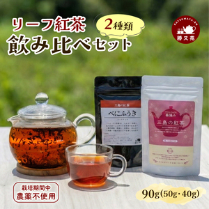 リーフ紅茶 2種 飲み比べセット 90g(40g+50g) 国産 栽培期間中 農薬不使用 紅茶