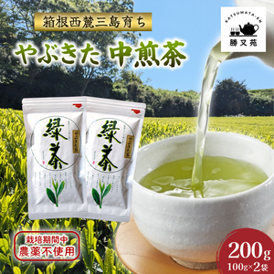 緑茶 やぶきた 中煎茶 200g (100g×2袋) 国産 日本茶