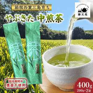 日本茶 緑茶 400g (200g×2袋) 栽培期間中 農薬不使用 茶葉