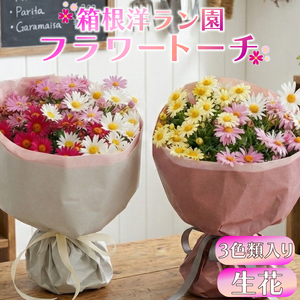 フラワートーチ Big サイズ マーガレット お花 プレゼント 贈答用 お祝い ギフト 箱根洋ラン園 静岡県 三島市