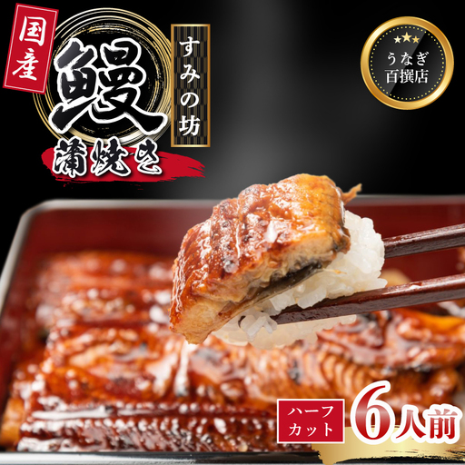 鰻 6人前 真空パック 蒲焼き