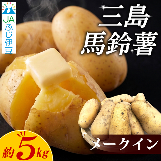 [先行予約2026年7月上旬より順次発送] 三島馬鈴薯 約5kg JAふじ伊豆 じゃがいも 馬鈴薯 メークイン