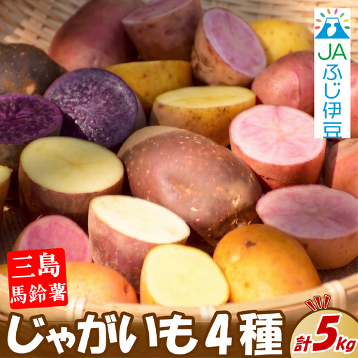[先行予約2026年7月上旬より順次発送] 三島馬鈴薯 4種 約5kg じゃがいも 馬鈴薯 メークイン キタアカリ キタムカイ グランドペチカ